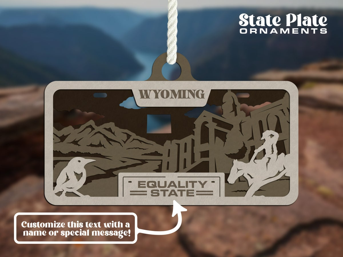 State License Plate Ornament image 28