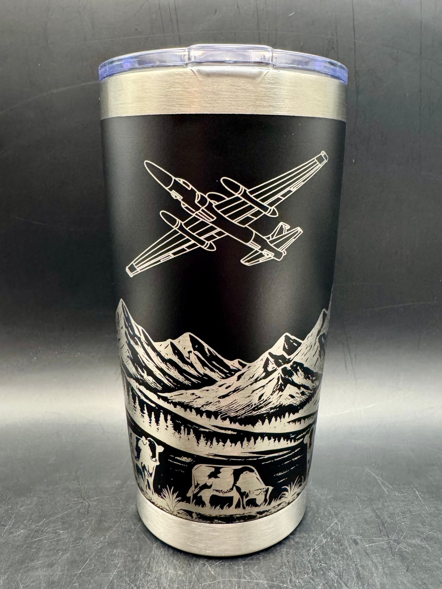 20oz Tumbler  Mountain Scene with U-2