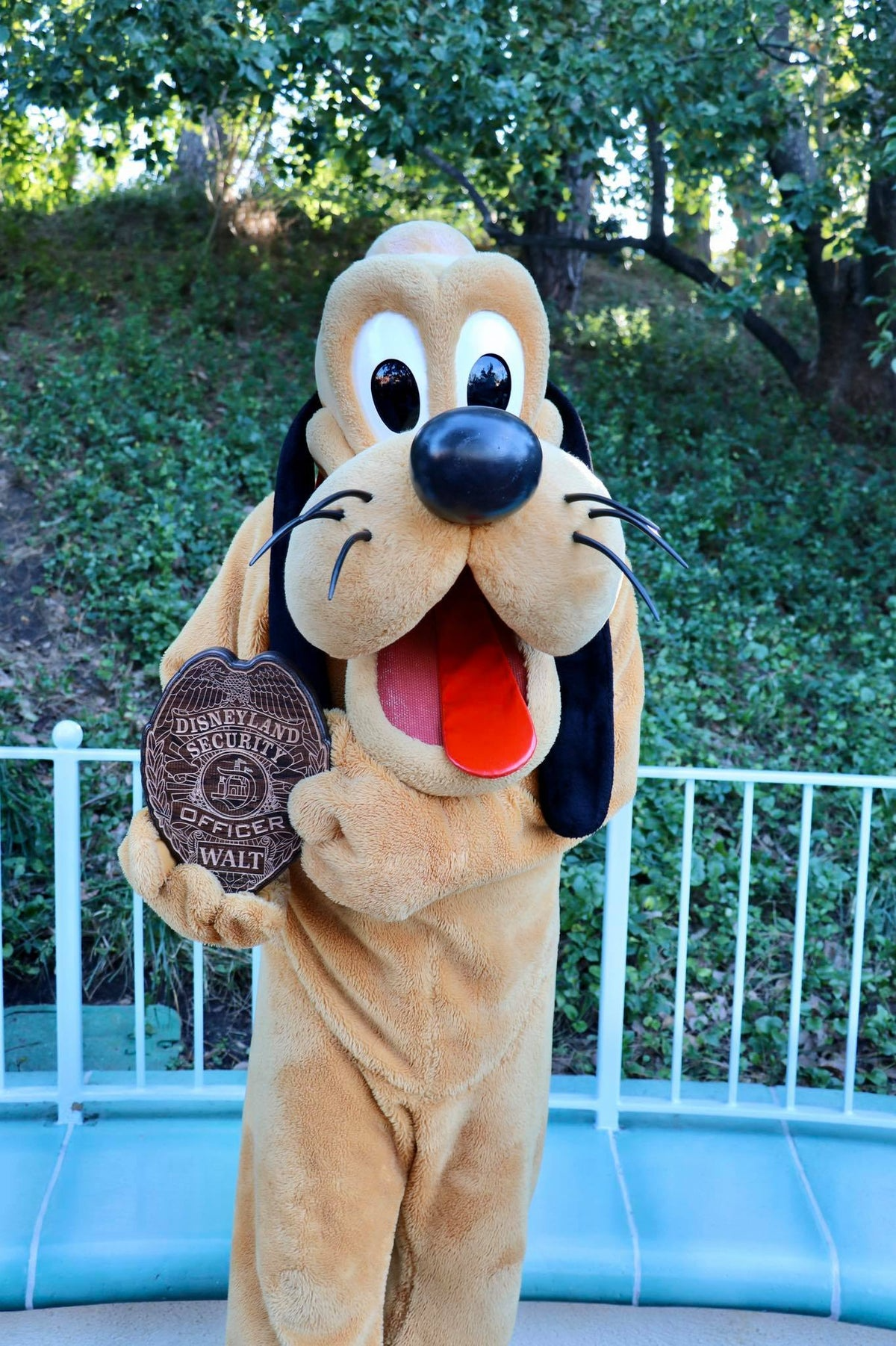 Custom Badges image 8