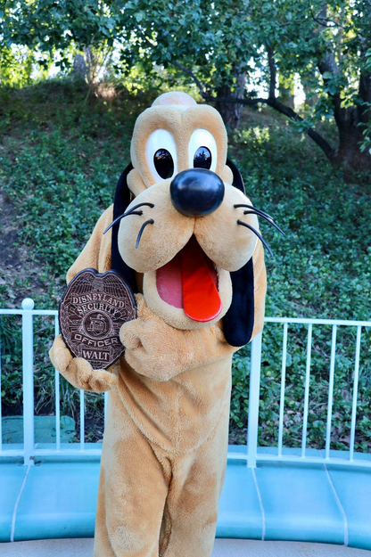 Custom Badges image 8