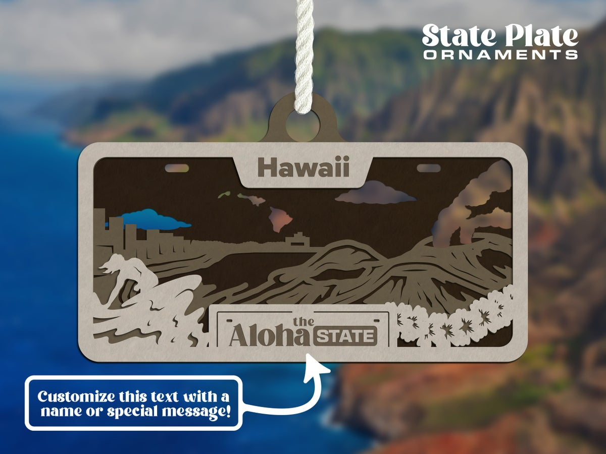 State License Plate Ornament image 15