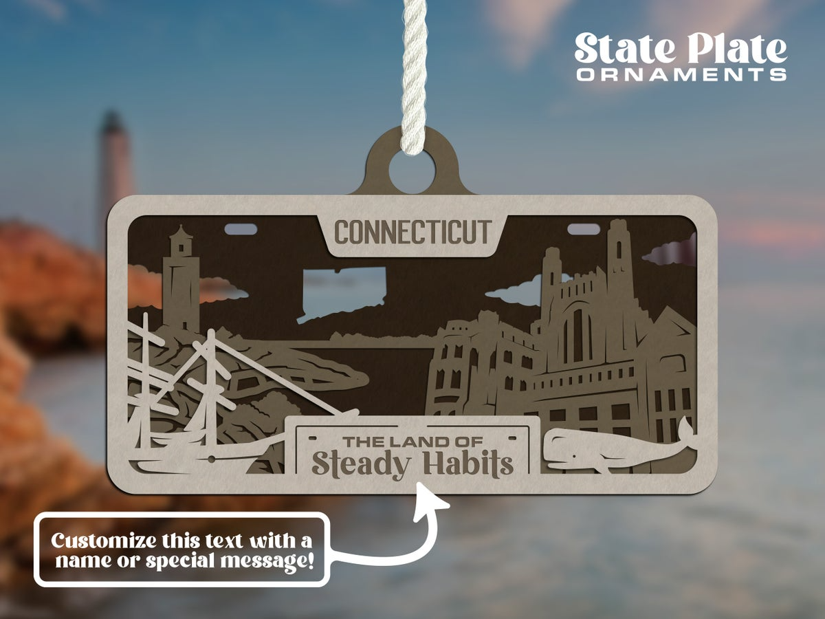 State License Plate Ornament image 20